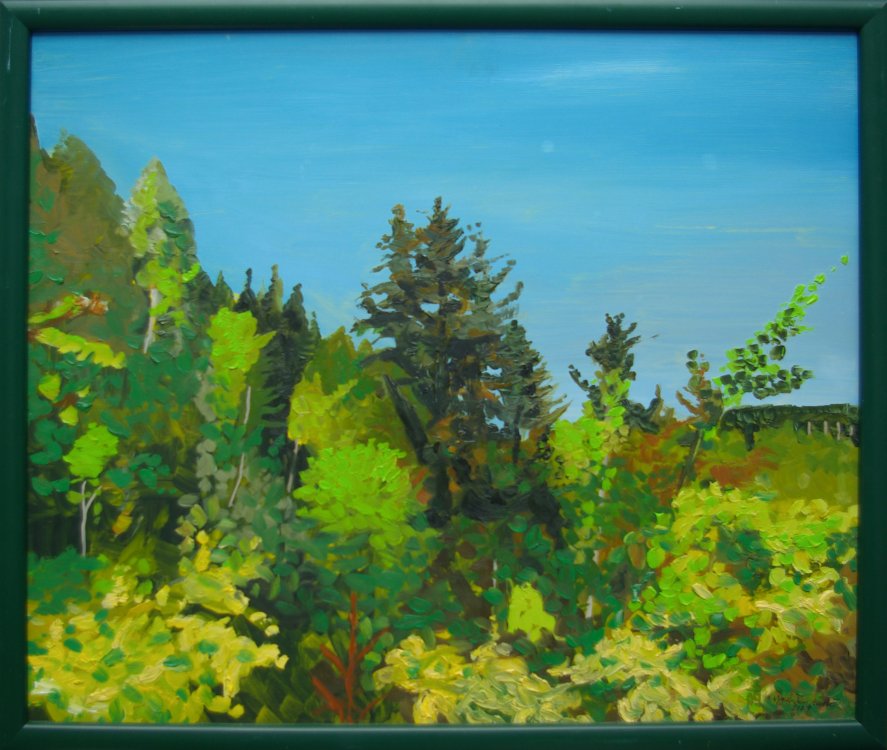 2009 — (27) Na stráni nad říčkou Bělou při cestě na Nový hrad, A,O,S, 33,3x39,6 cm